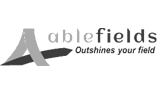 digital marketing agency